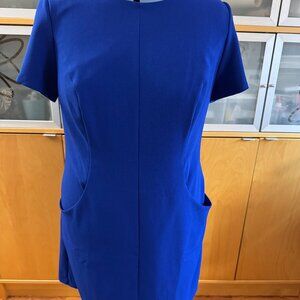 Eliza J Cobalt Blue Sheath Dress with Princess Seams and Pockets 16W